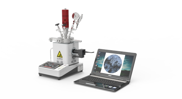 高溫高壓可視反應(yīng)釜