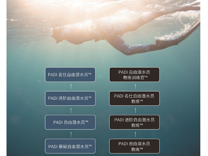 深圳室外自由潜水大概需要多少钱