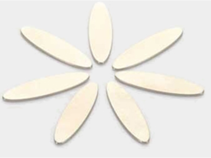 蕪湖強(qiáng)磁銷售 值得信賴 東陽(yáng)市誠(chéng)宇磁業(yè)供應(yīng)