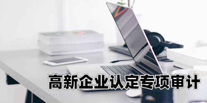 天津高新企业认定专项审计收费 中税正洁税务师事务所供应