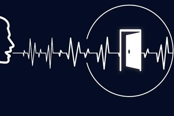 什么是声纹识别技术?_成都慧视光电技术有限公司