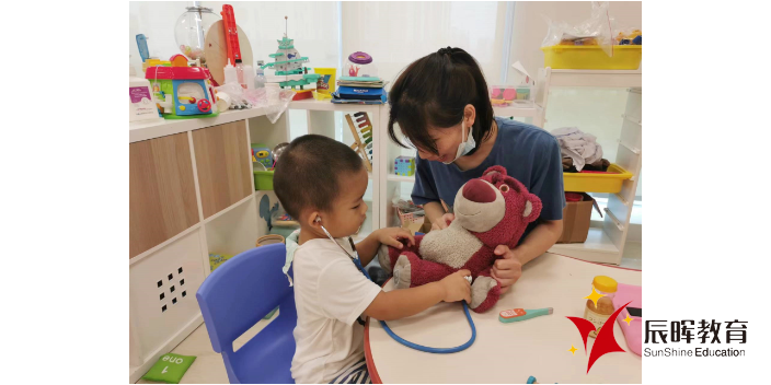 辽宁幼儿自闭症怎么治 推荐咨询 广州辰晖健康科技供应