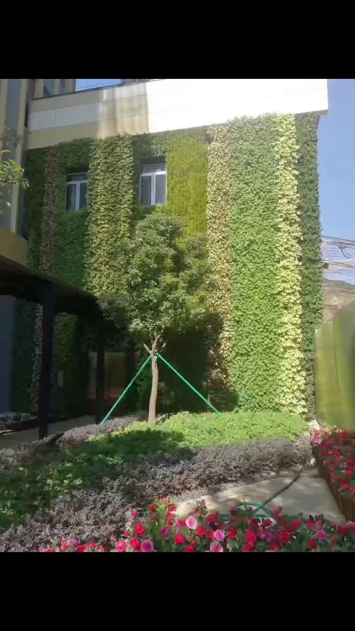 徐汇区壁挂式绿植墙设计,绿植墙