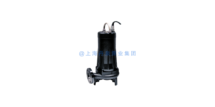 湖南潜水排污泵照片 欢迎来电 上海丹泉泵业集团供应
