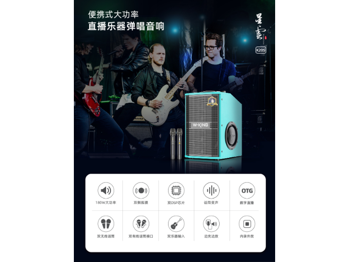 上海户外手提音响生产厂家 深圳市维尔晶科技供应