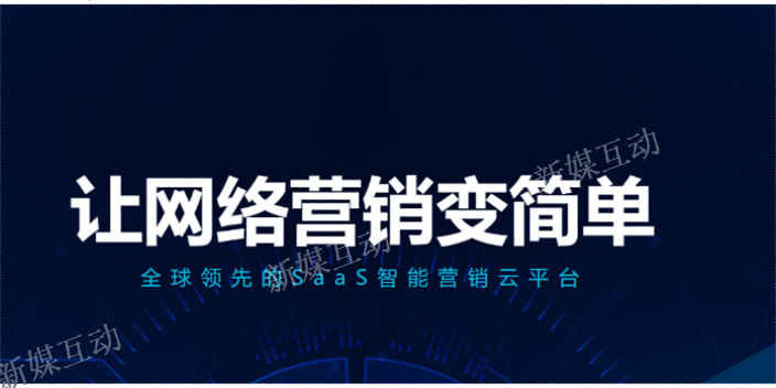 津南区游戏电商运营 天津新媒互动科技供应