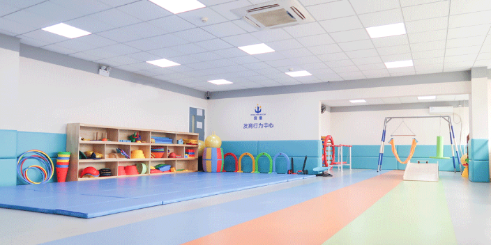 河北儿童自闭症学校 欢迎来电 天津宜童健康咨询供应;