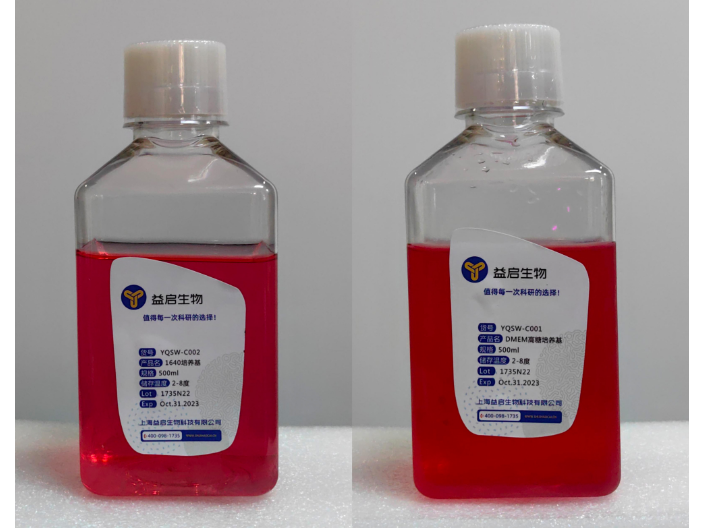 上海Transwell小室細胞培養(yǎng)益啟培養(yǎng)基規(guī)格 抱誠守真 上海益啟供