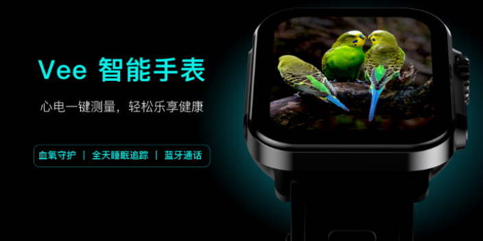 北京怎样心电血氧心率智能手表零售价,心电血氧心率智能手表