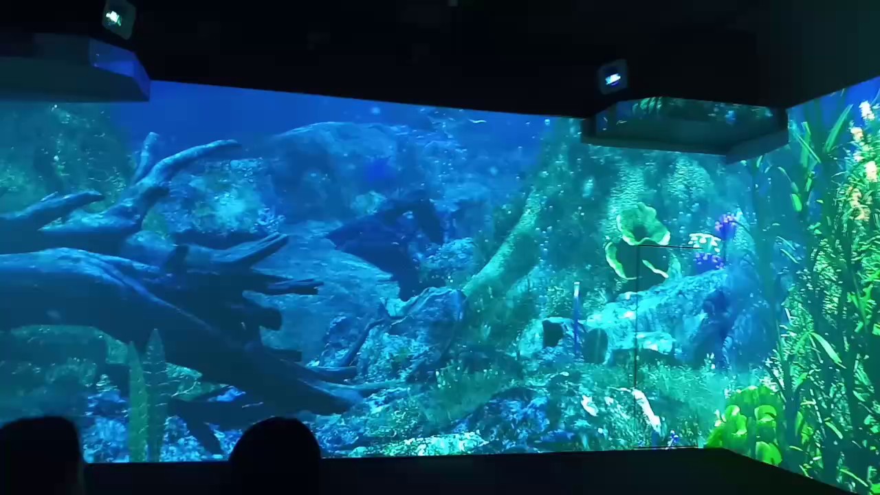 青海VR沉浸式系统,沉浸式