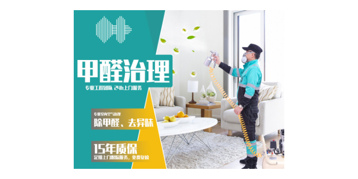 武漢餐飲場(chǎng)所TVOC檢測(cè)哪家好 武漢小小葉子環(huán)保科技供應(yīng)