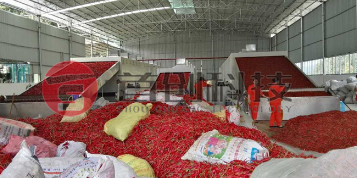 宁夏沙姜烘干生产线多少钱 值得信赖 四川南充首创科技供应