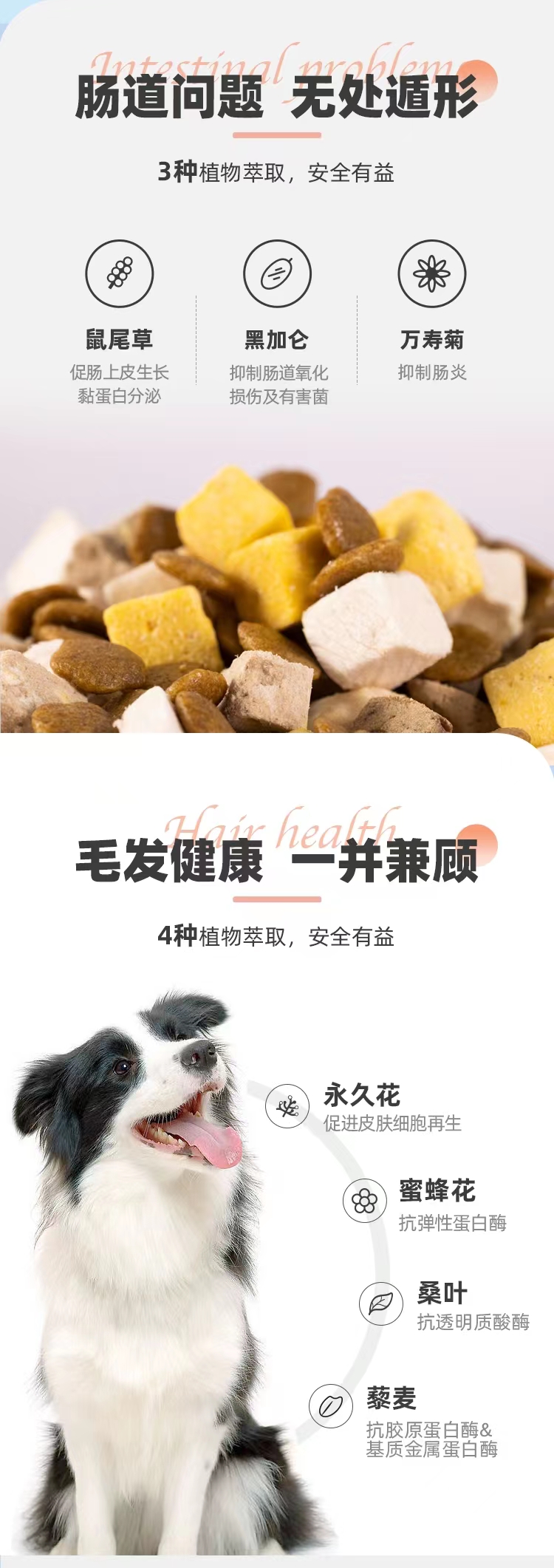 乐摩全价成年期犬粮(肠道+美毛)1.5kg/袋,10kg/袋