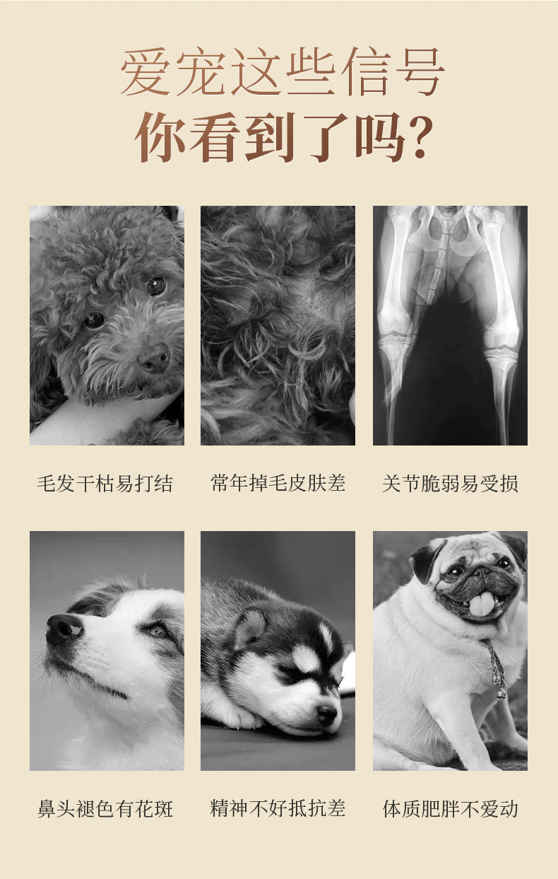 绝魅虾青素鱼油软胶囊狗狗猫咪美毛深海鱼油猫用犬用三文鱼油