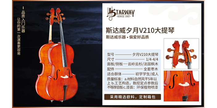 金华古筝乐器网站 服务至上 香港施坦威國際集團供应