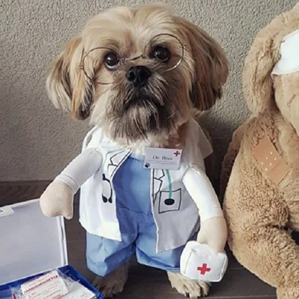 halloween cosplay pet doctor costume