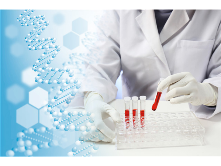 上海可控工程化外泌体行业 上海宇玫博生物科技供应;