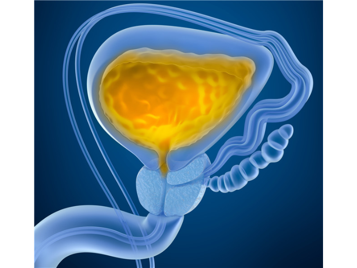 上海CD63外泌体慢病毒包装 上海宇玫博生物科技供应