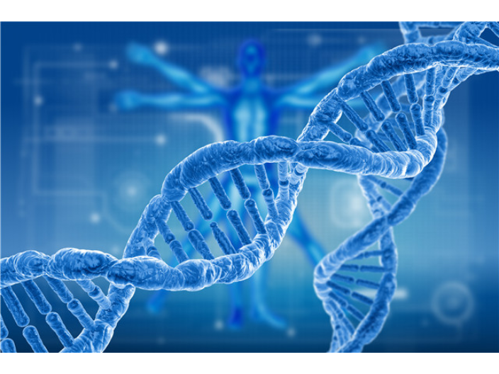 上海外泌体miRNA芯片 上海宇玫博生物科技供应