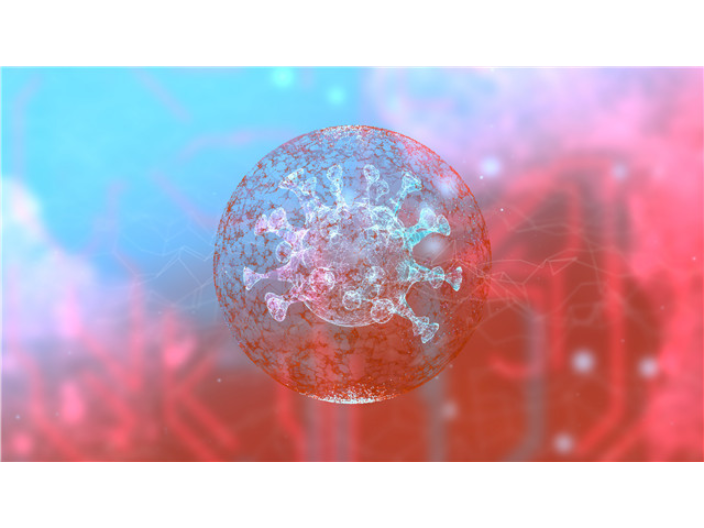 上海國內工程化外泌體類型 上海宇玫博生物科技供應;