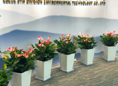 办公室绿植租摆_苏州徽之韵绿化工程有限公司