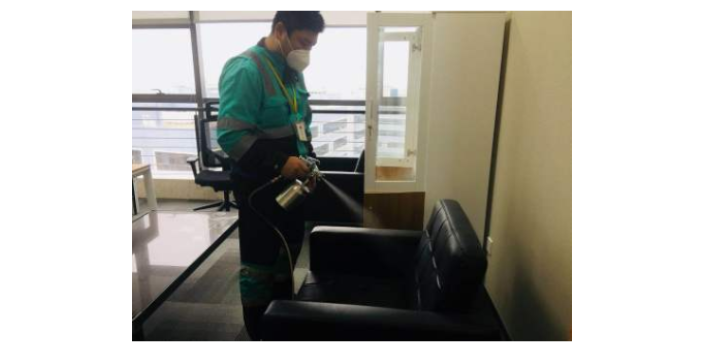 武汉做的好的开荒保洁口碑好的 武汉小小叶子环保科技供应