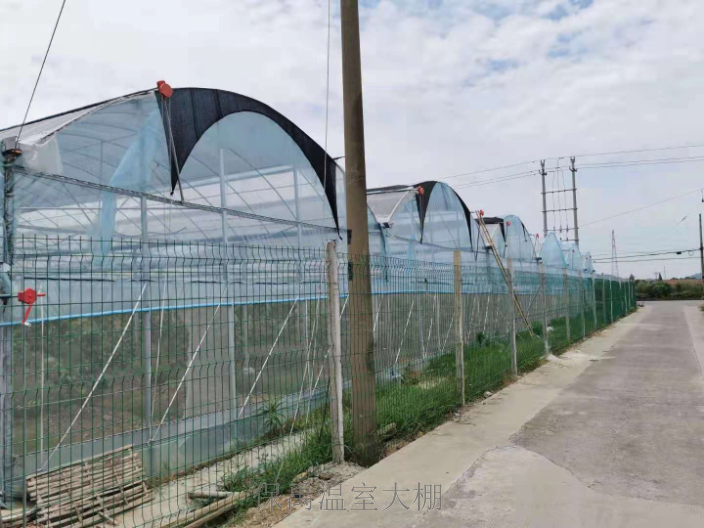 廣東種植花卉大棚安裝
