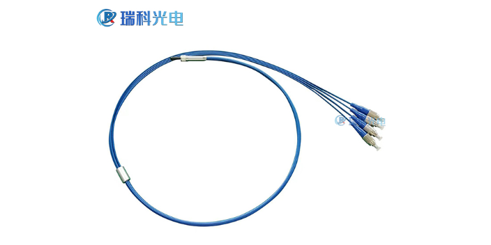 廣州光譜分析石英光纖批發(fā) 廣州瑞科光電科技供應