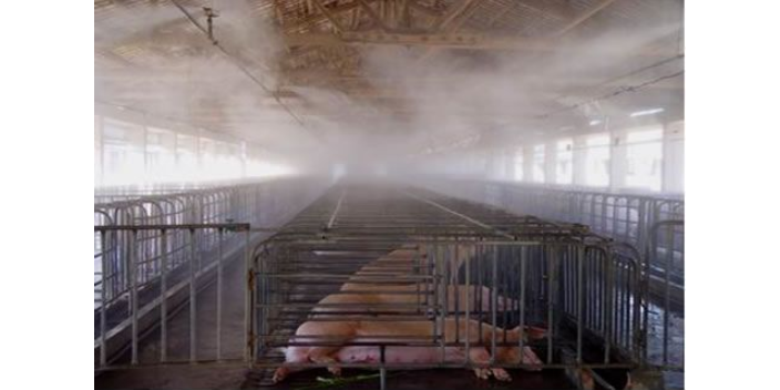 大型养殖场喷雾除臭设备制造商