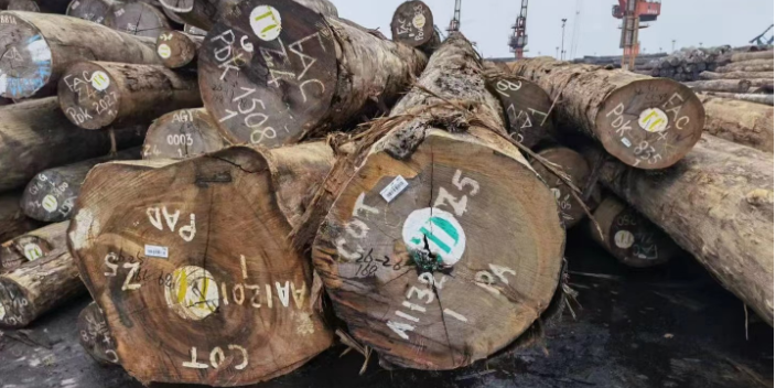 上海刚果花梨板材 欢迎来电 张家港广润木业供应;