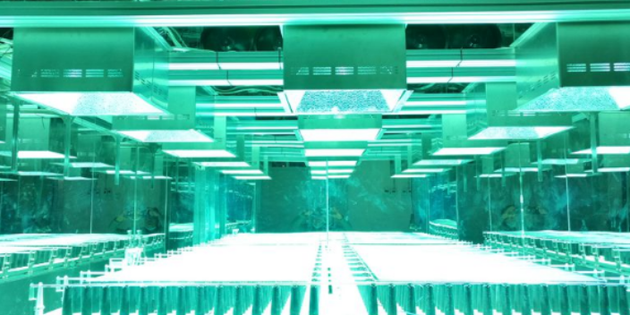 北京生物光照光催化太阳光模拟系统