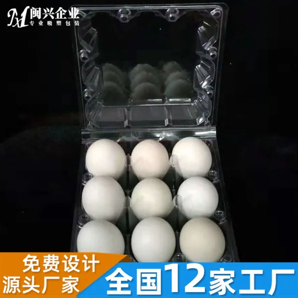 9粒雞蛋盒