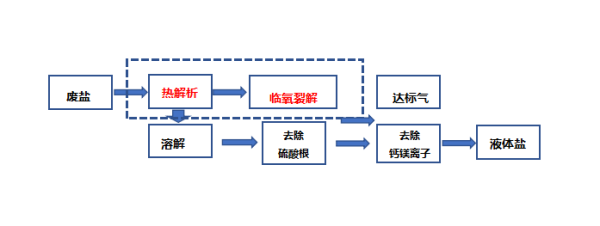 含有機(jī)污染物工業(yè)廢鹽處理技術(shù)