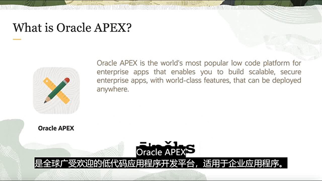 楊浦區簡單的Apex培訓課程