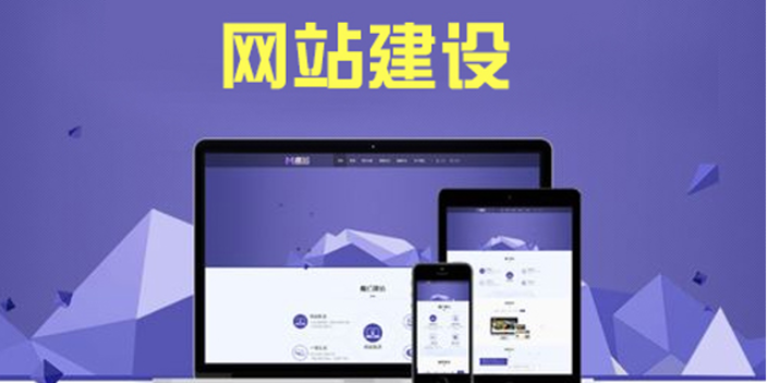 石家庄裕华区营销型网站建设推广 河北启智源泉信息技术供应