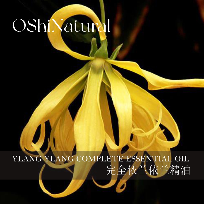 有机完全依兰依兰精油丨OShiNatural 自然欧植
