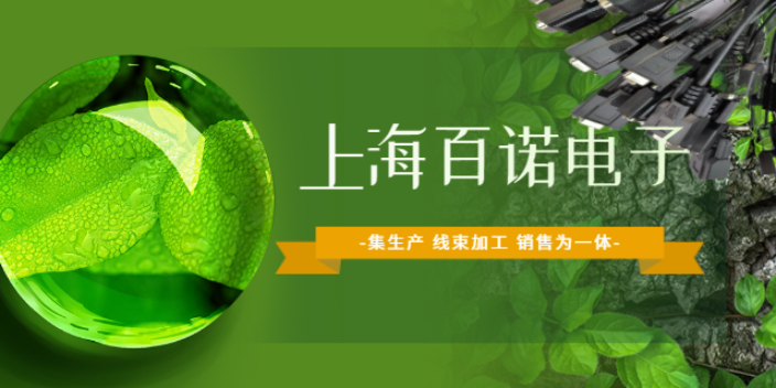 台州端子链接线束加工供货商 上海百诺电子供应;