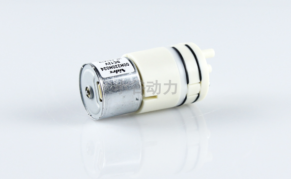 安徽日本微型隔膜泵自動化設備