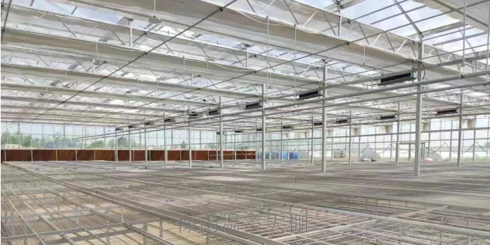 海南温室大棚管哪里有卖的