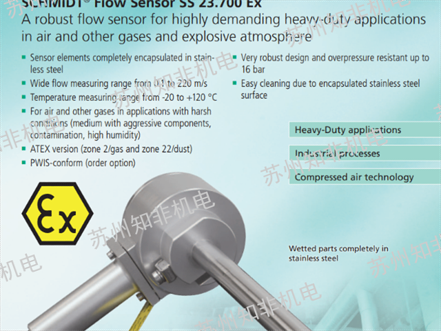 合肥DIGMESA气体质量流量计,气体质量流量计