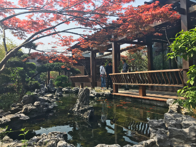 浙江住宅楼屋顶花园庭院景观设计 欢迎咨询 杭州一禾园林景观工程供应