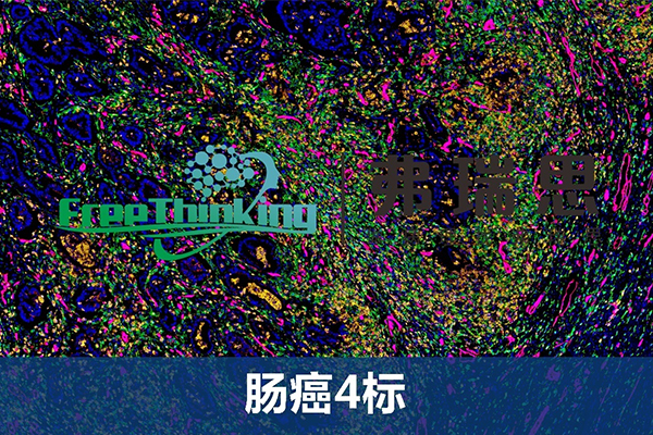 腸癌4標(biāo)
