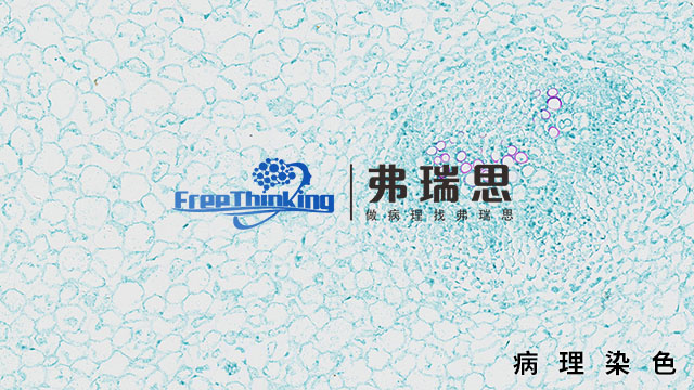 惠州病理染色扫描 南京弗瑞思生物科技供应