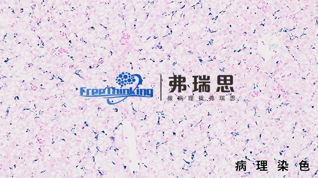 鎮(zhèn)江切片病理染色原理 南京弗瑞思生物科技供應