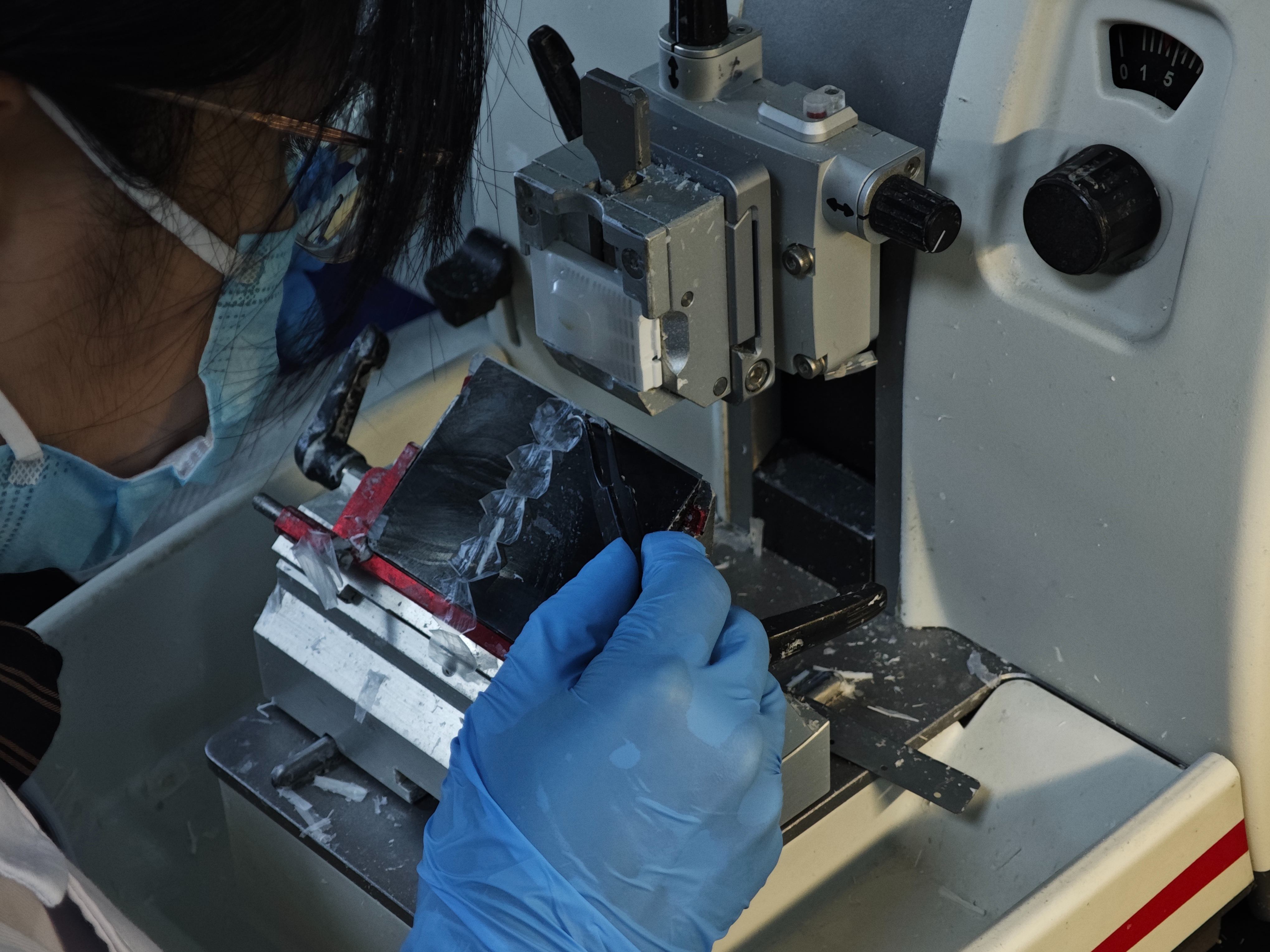 哪個步驟是病理實驗流程中重要的環(huán)節(jié)？