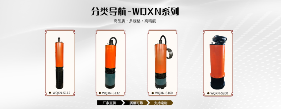 广东外贸水泵定制 上海市沪成泵业供应;