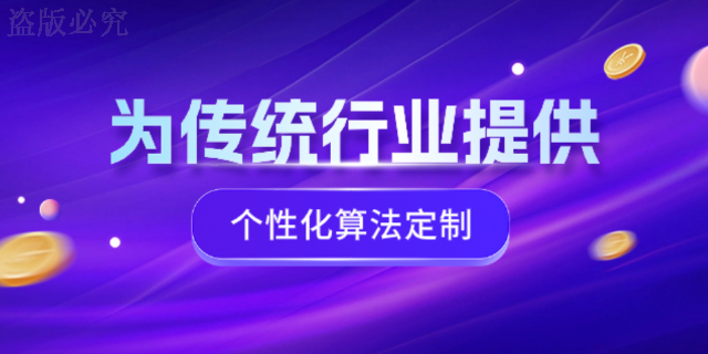 上海数字化算法定制软件服务