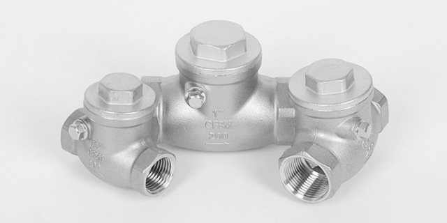 江蘇止回閥作用 誠(chéng)信服務(wù) 浙江正勝閥門供應(yīng)