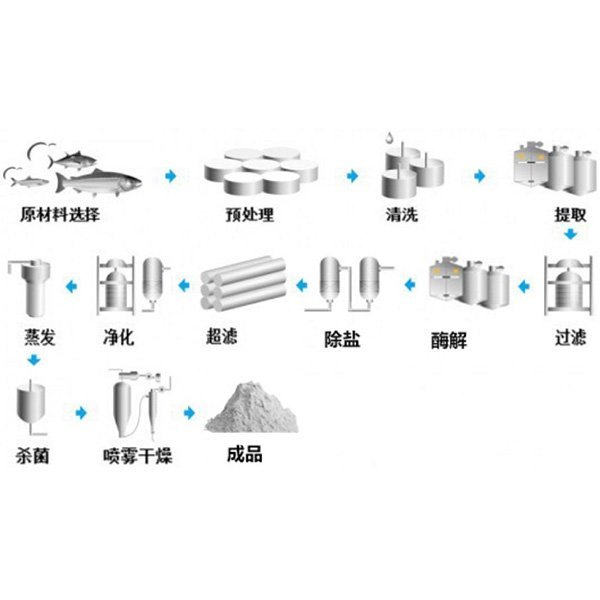 膠原蛋白提取