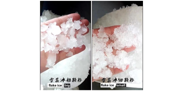 南京专业制冰机 上海雪人机电设备供应